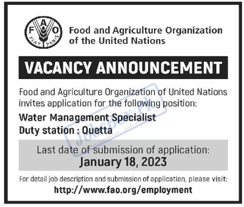 Food and Agriculture Organization FAO Jobs 2023