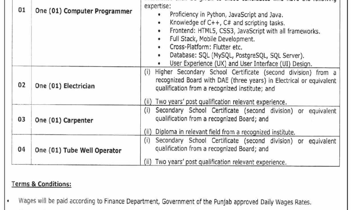 Cholistan University Of Veterinary And Animal Sciences CUVAS Jobs 2024