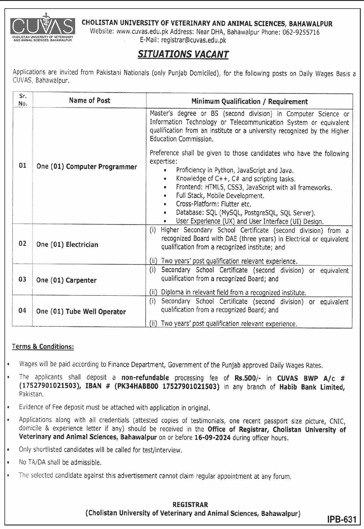 Cholistan University Of Veterinary And Animal Sciences CUVAS Jobs 2024