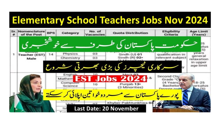 Elementary School Teachers Jobs Nov 2024 at Federal Directorate of Education FDE